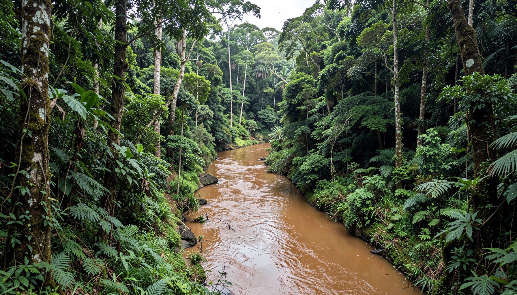 A winding brown river cutting through dense Amazon jungle, with towering trees and rich green foliage under diffused tropical light